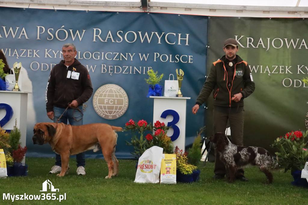 Fotorelacja II: Wystawa Psów Rasowych 2025 – Gniazdów Gmina Koziegłowy