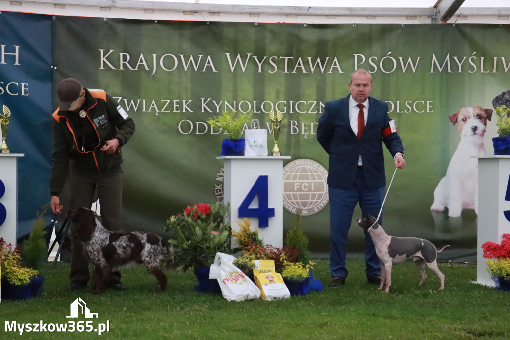 Fotorelacja II: Wystawa Psów Rasowych 2025 – Gniazdów Gmina Koziegłowy