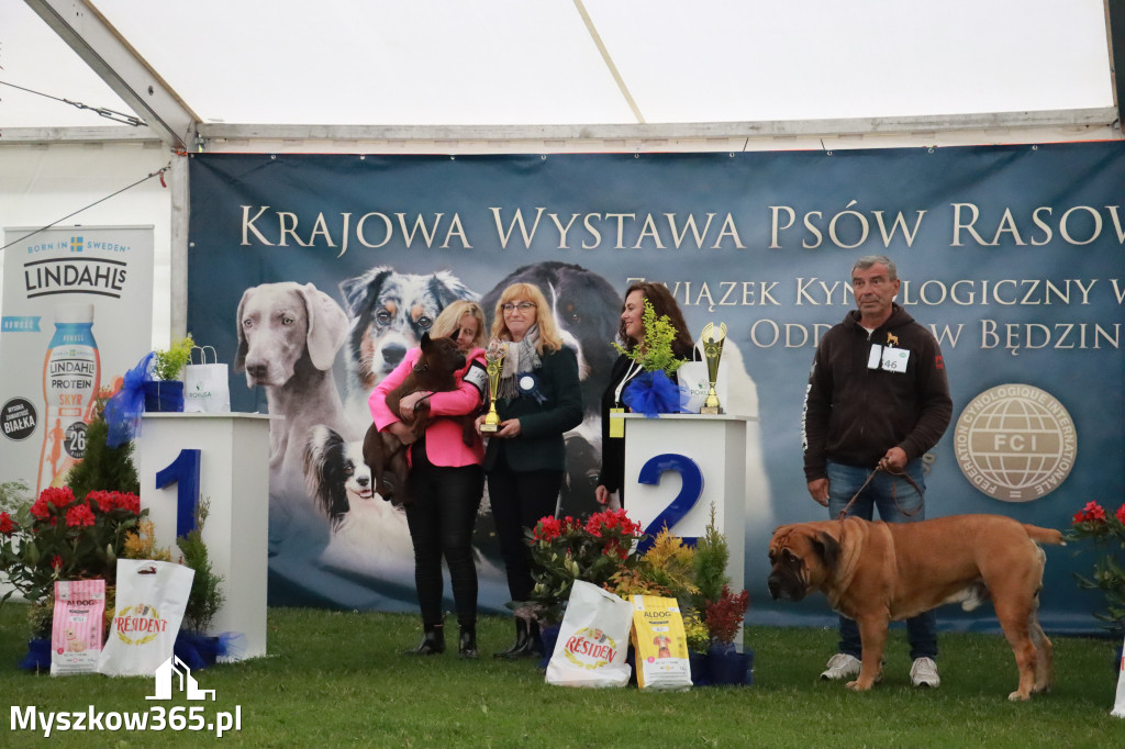 Fotorelacja II: Wystawa Psów Rasowych 2025 – Gniazdów Gmina Koziegłowy
