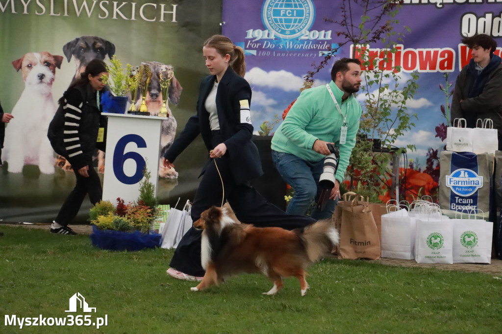 Fotorelacja II: Wystawa Psów Rasowych 2025 – Gniazdów Gmina Koziegłowy