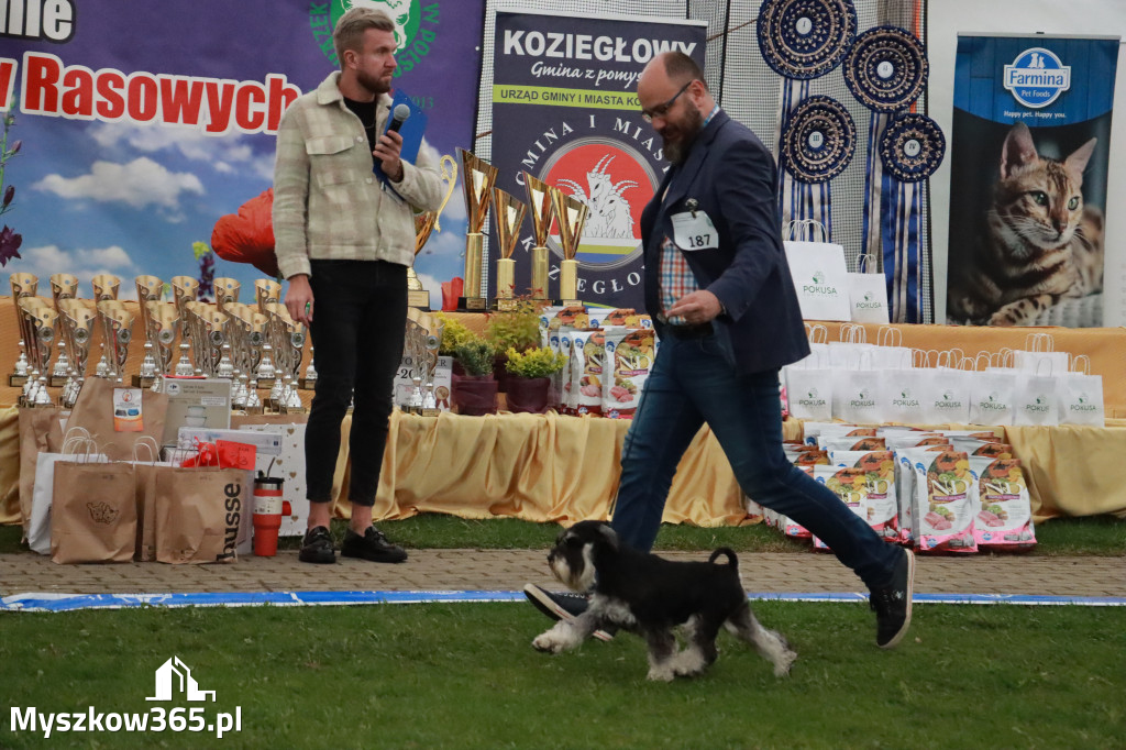 Fotorelacja II: Wystawa Psów Rasowych 2025 – Gniazdów Gmina Koziegłowy