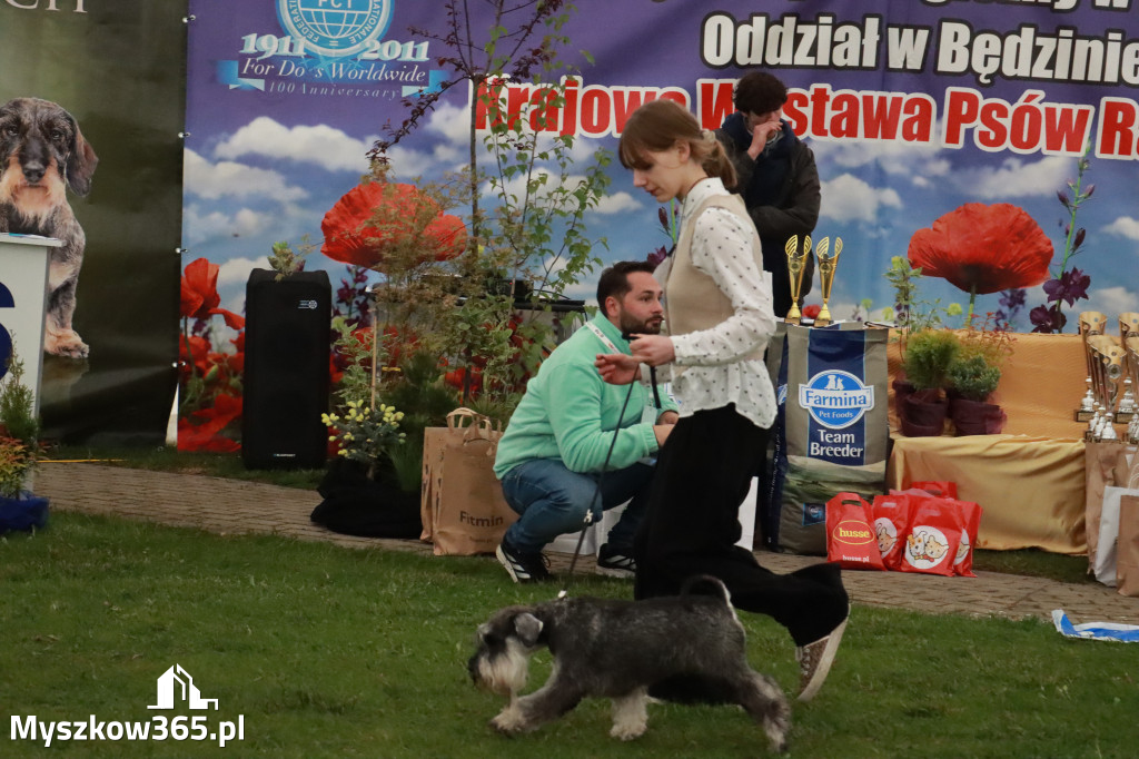 Fotorelacja II: Wystawa Psów Rasowych 2025 – Gniazdów Gmina Koziegłowy