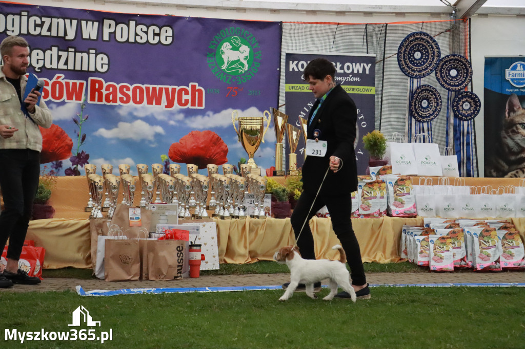 Fotorelacja II: Wystawa Psów Rasowych 2025 – Gniazdów Gmina Koziegłowy