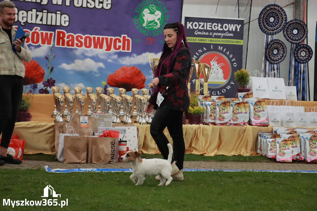 Fotorelacja II: Wystawa Psów Rasowych 2025 – Gniazdów Gmina Koziegłowy
