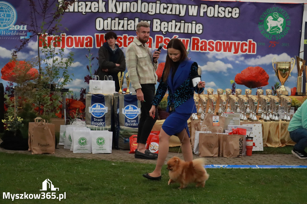 Fotorelacja II: Wystawa Psów Rasowych 2025 – Gniazdów Gmina Koziegłowy