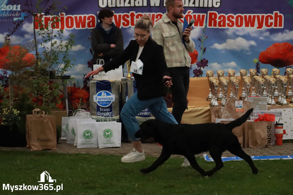 Fotorelacja II: Wystawa Psów Rasowych 2025 – Gniazdów Gmina Koziegłowy