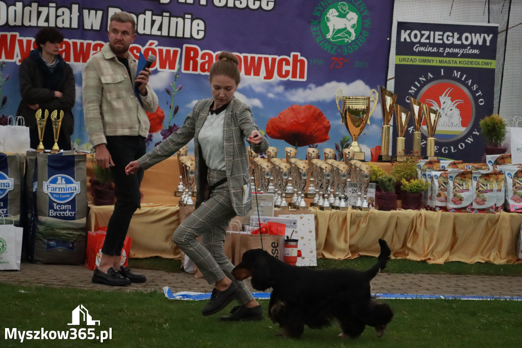 Fotorelacja II: Wystawa Psów Rasowych 2025 – Gniazdów Gmina Koziegłowy