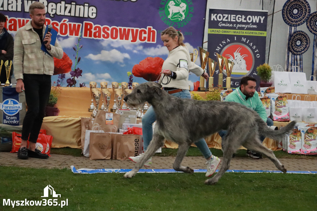 Fotorelacja II: Wystawa Psów Rasowych 2025 – Gniazdów Gmina Koziegłowy