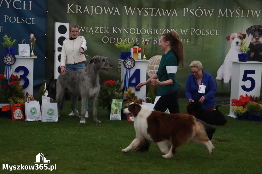 Fotorelacja II: Wystawa Psów Rasowych 2025 – Gniazdów Gmina Koziegłowy