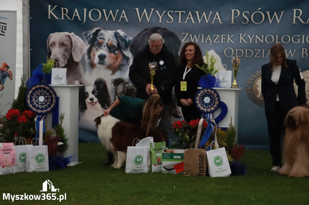 Fotorelacja II: Wystawa Psów Rasowych 2025 – Gniazdów Gmina Koziegłowy