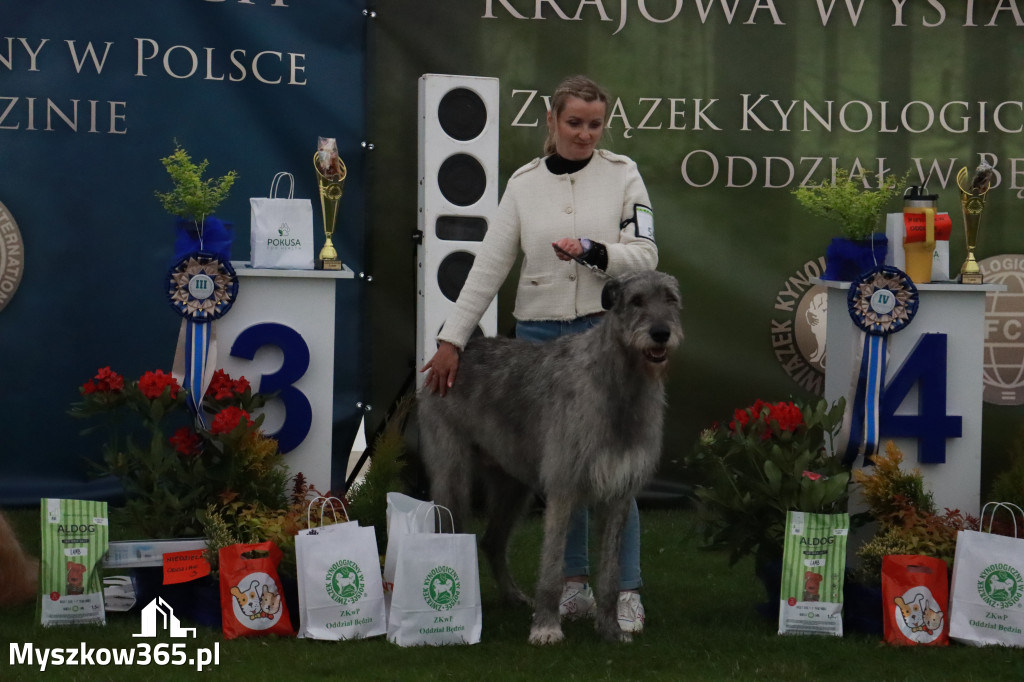 Fotorelacja II: Wystawa Psów Rasowych 2025 – Gniazdów Gmina Koziegłowy