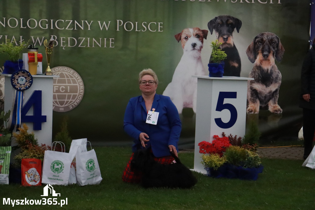 Fotorelacja II: Wystawa Psów Rasowych 2025 – Gniazdów Gmina Koziegłowy