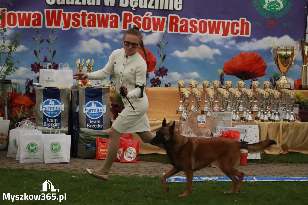Fotorelacja II: Wystawa Psów Rasowych 2025 – Gniazdów Gmina Koziegłowy