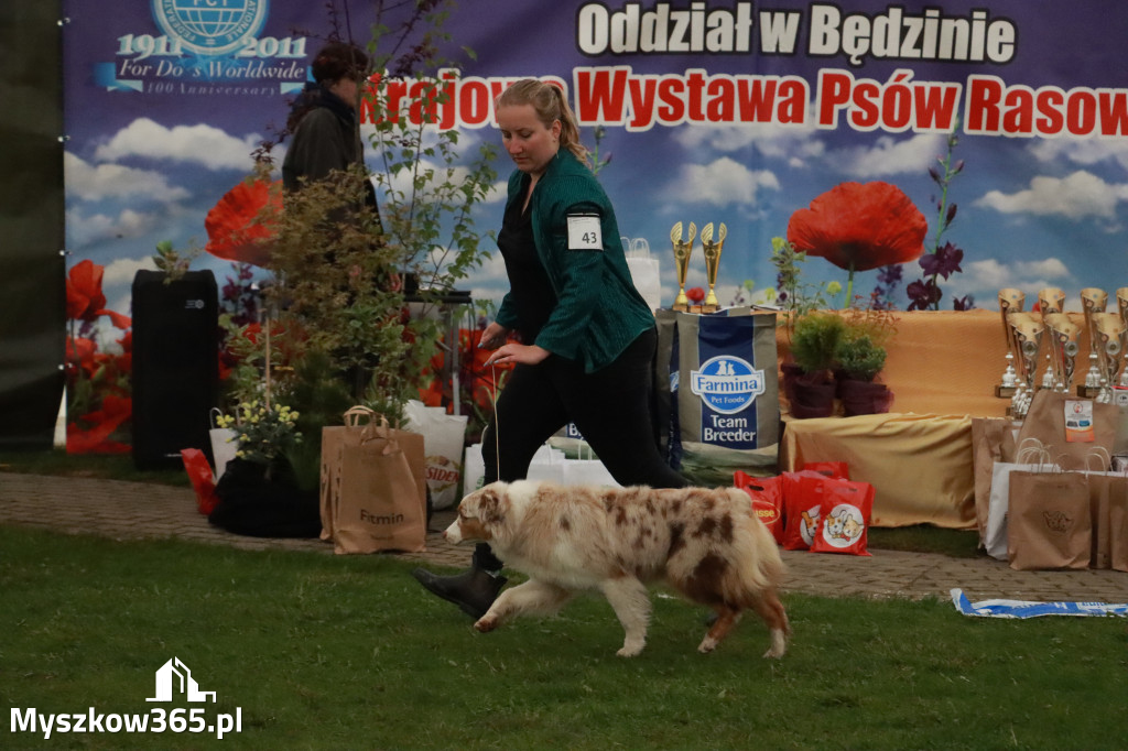 Fotorelacja II: Wystawa Psów Rasowych 2025 – Gniazdów Gmina Koziegłowy