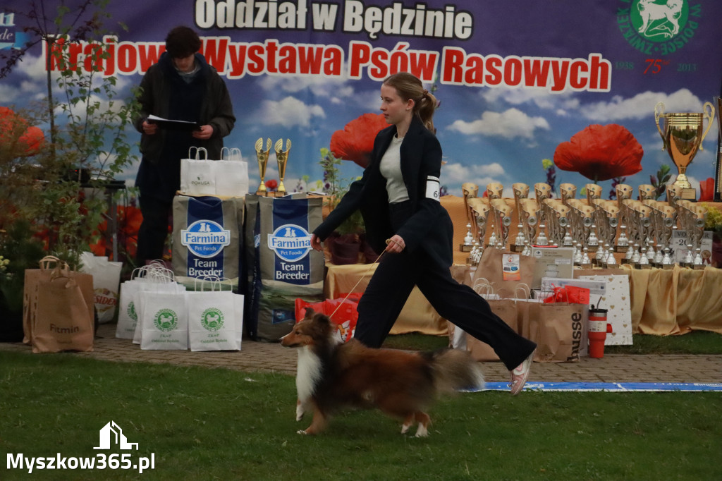 Fotorelacja II: Wystawa Psów Rasowych 2025 – Gniazdów Gmina Koziegłowy