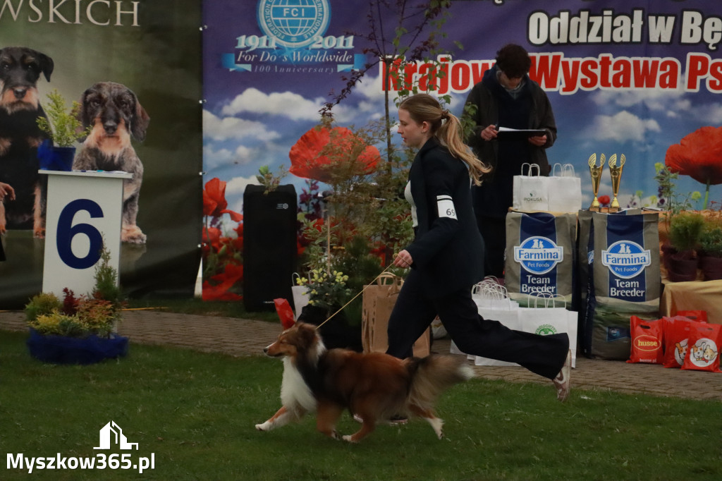 Fotorelacja II: Wystawa Psów Rasowych 2025 – Gniazdów Gmina Koziegłowy