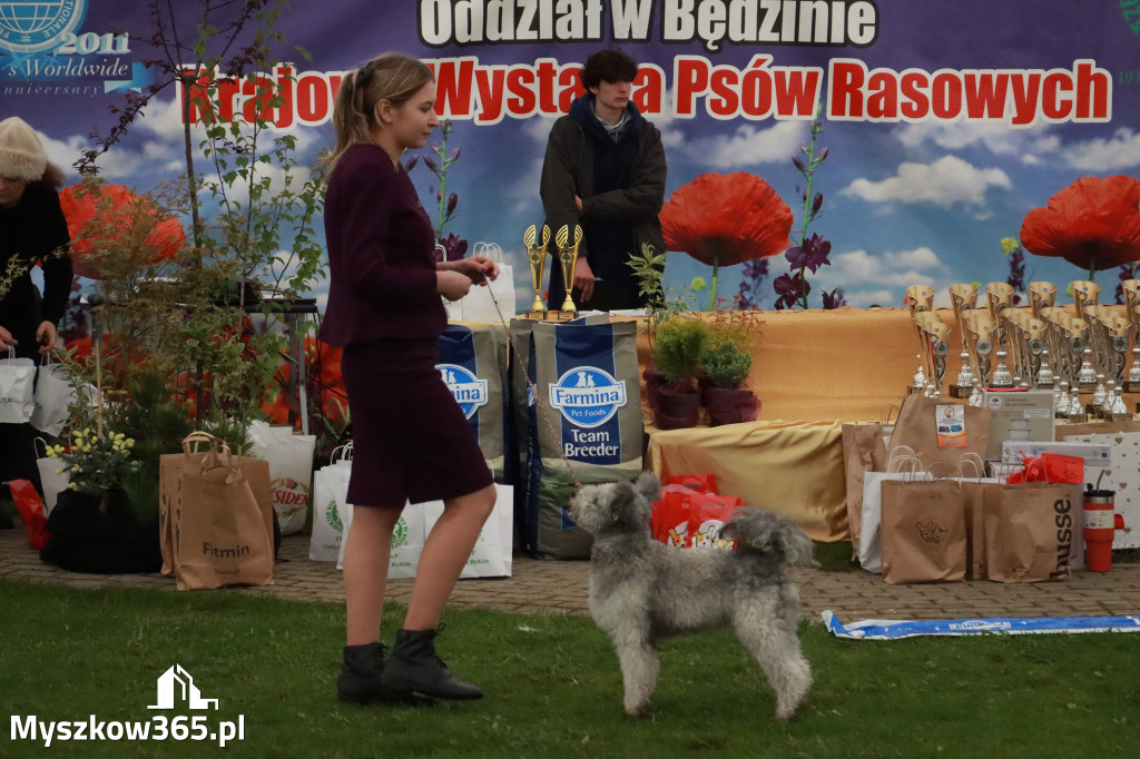 Fotorelacja II: Wystawa Psów Rasowych 2025 – Gniazdów Gmina Koziegłowy