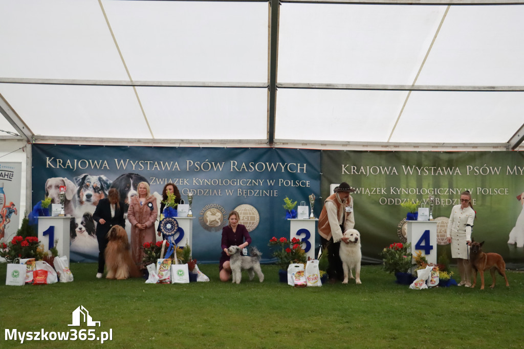 Fotorelacja II: Wystawa Psów Rasowych 2025 – Gniazdów Gmina Koziegłowy