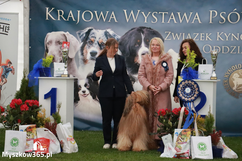 Fotorelacja II: Wystawa Psów Rasowych 2025 – Gniazdów Gmina Koziegłowy
