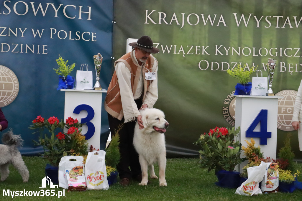 Fotorelacja II: Wystawa Psów Rasowych 2025 – Gniazdów Gmina Koziegłowy
