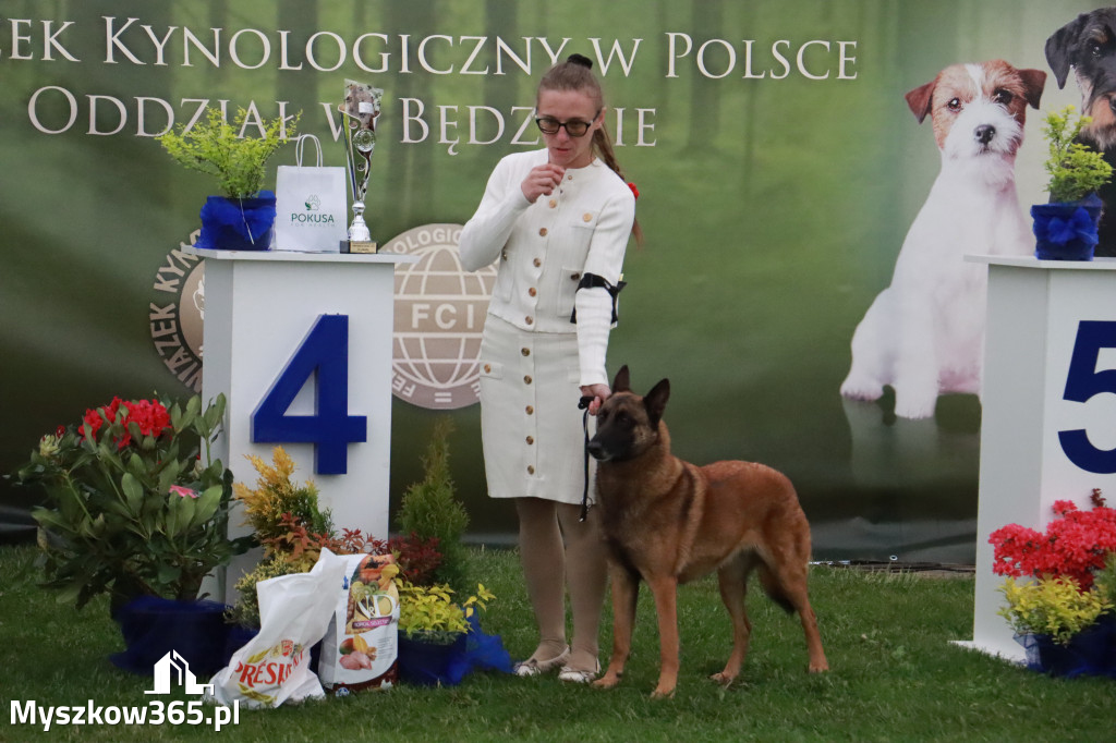 Fotorelacja II: Wystawa Psów Rasowych 2025 – Gniazdów Gmina Koziegłowy