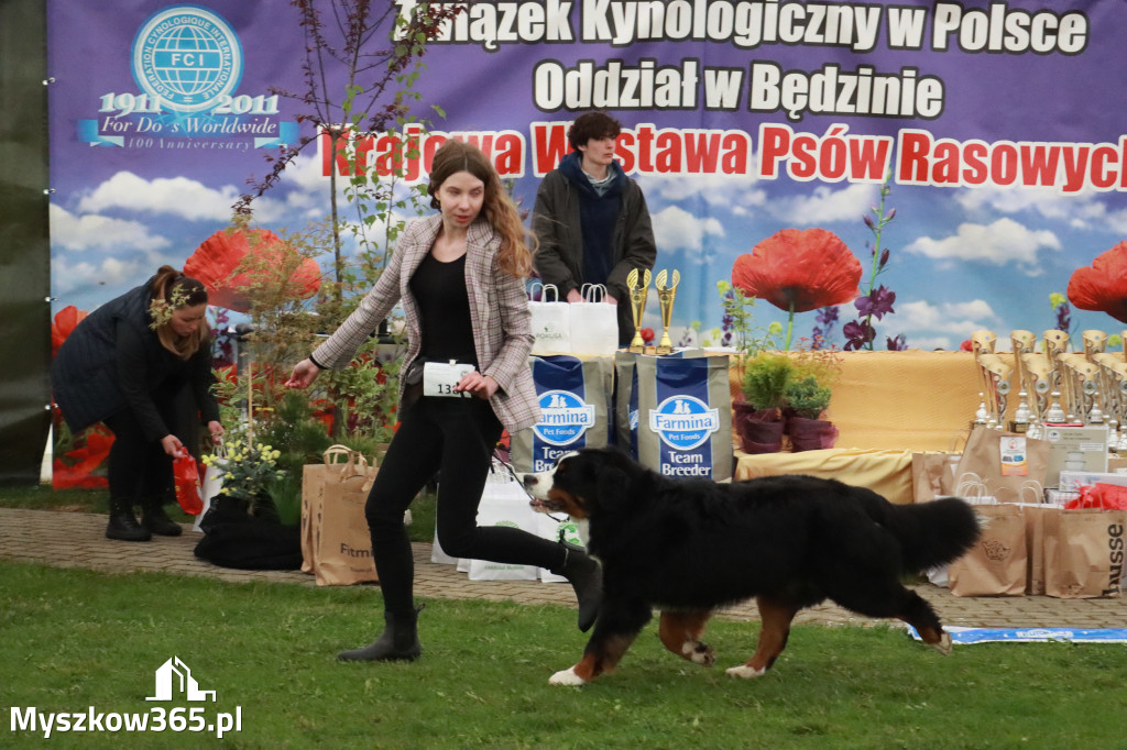 Fotorelacja II: Wystawa Psów Rasowych 2025 – Gniazdów Gmina Koziegłowy