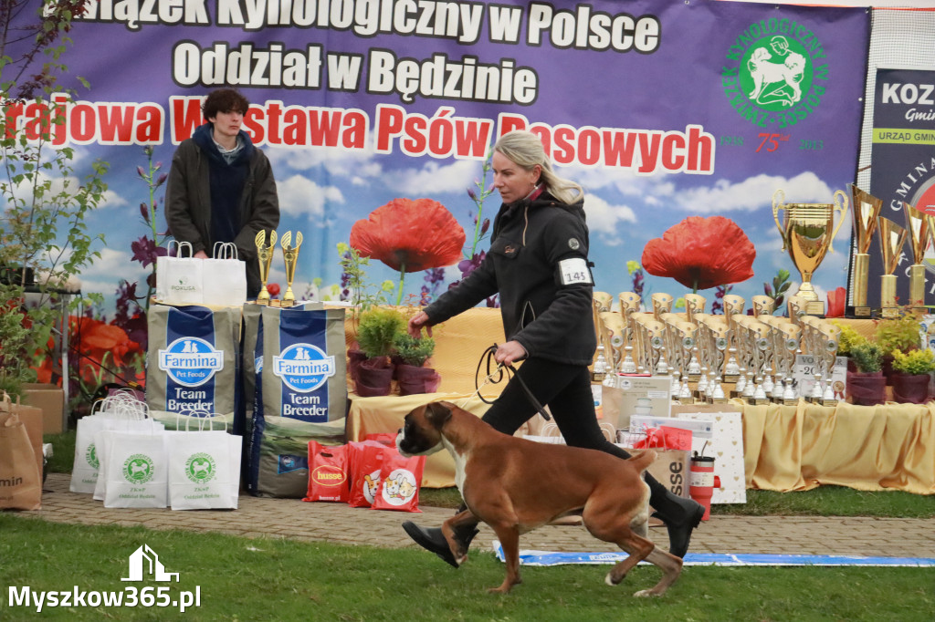 Fotorelacja II: Wystawa Psów Rasowych 2025 – Gniazdów Gmina Koziegłowy