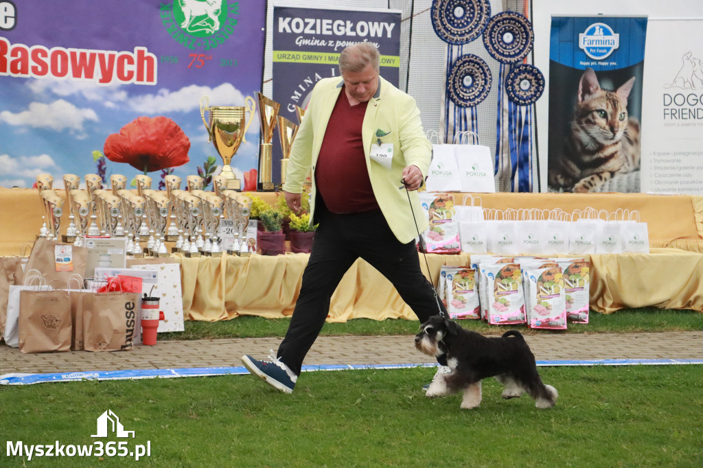 Fotorelacja II: Wystawa Psów Rasowych 2025 – Gniazdów Gmina Koziegłowy