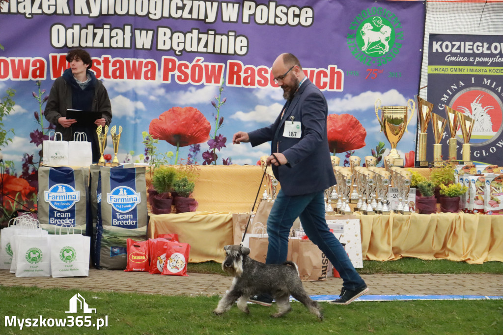 Fotorelacja II: Wystawa Psów Rasowych 2025 – Gniazdów Gmina Koziegłowy