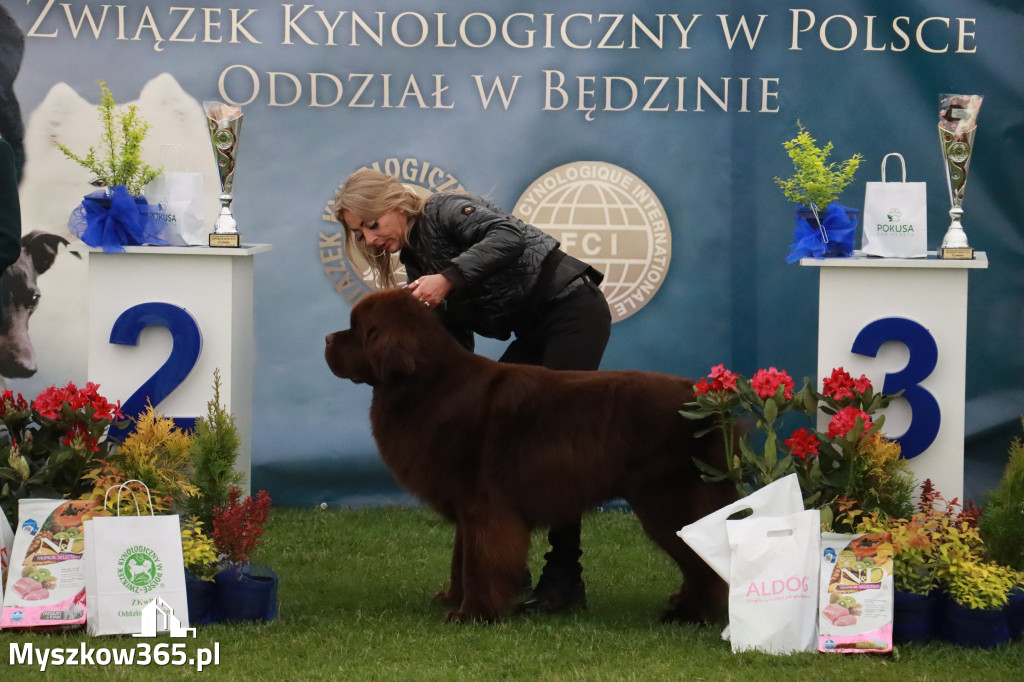 Fotorelacja II: Wystawa Psów Rasowych 2025 – Gniazdów Gmina Koziegłowy