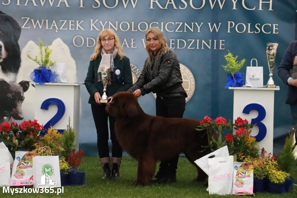 Fotorelacja II: Wystawa Psów Rasowych 2025 – Gniazdów Gmina Koziegłowy
