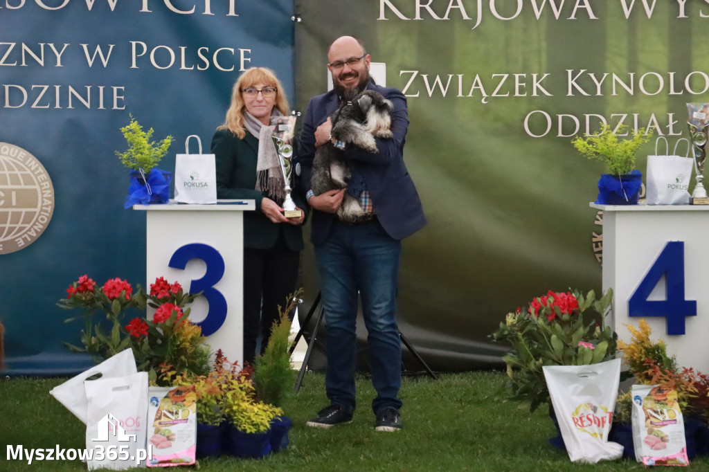 Fotorelacja II: Wystawa Psów Rasowych 2025 – Gniazdów Gmina Koziegłowy