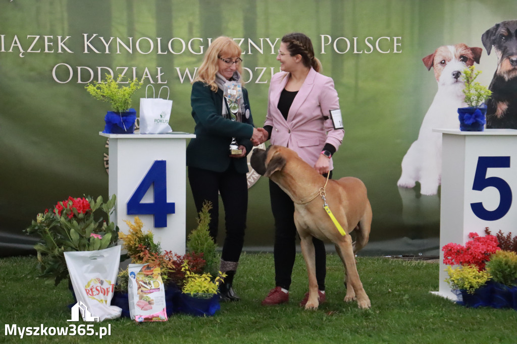Fotorelacja II: Wystawa Psów Rasowych 2025 – Gniazdów Gmina Koziegłowy