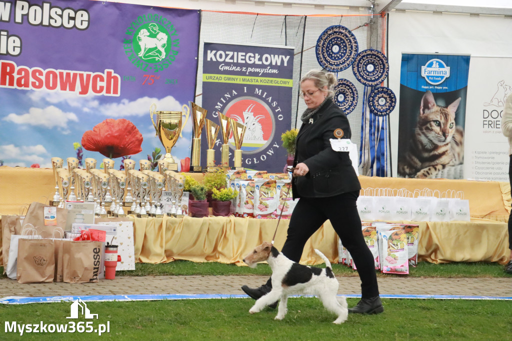 Fotorelacja II: Wystawa Psów Rasowych 2025 – Gniazdów Gmina Koziegłowy