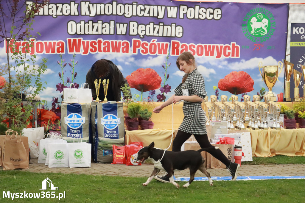 Fotorelacja II: Wystawa Psów Rasowych 2025 – Gniazdów Gmina Koziegłowy
