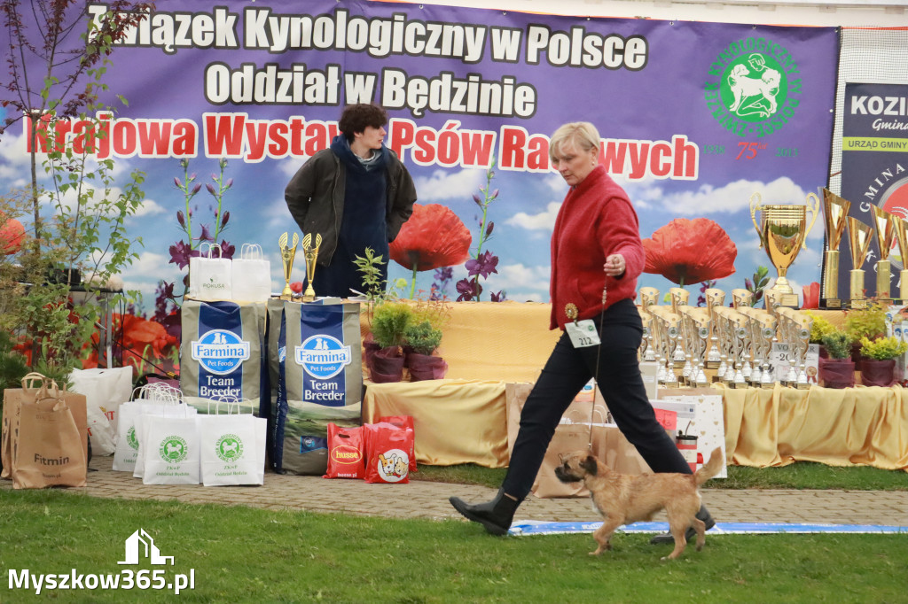Fotorelacja II: Wystawa Psów Rasowych 2025 – Gniazdów Gmina Koziegłowy