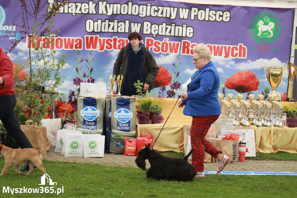 Fotorelacja II: Wystawa Psów Rasowych 2025 – Gniazdów Gmina Koziegłowy