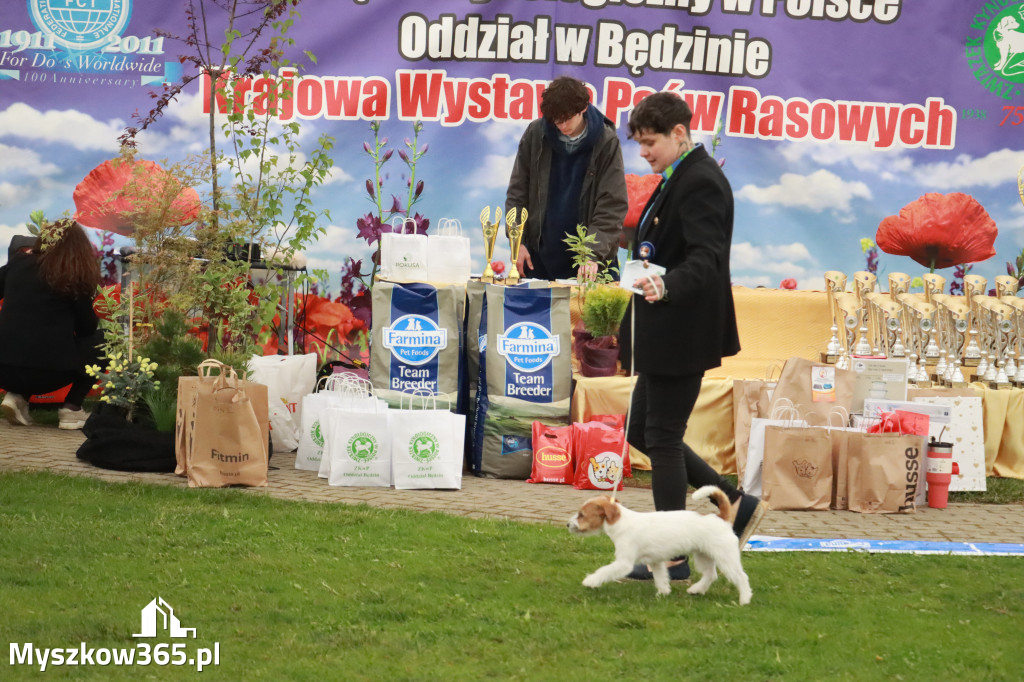 Fotorelacja II: Wystawa Psów Rasowych 2025 – Gniazdów Gmina Koziegłowy