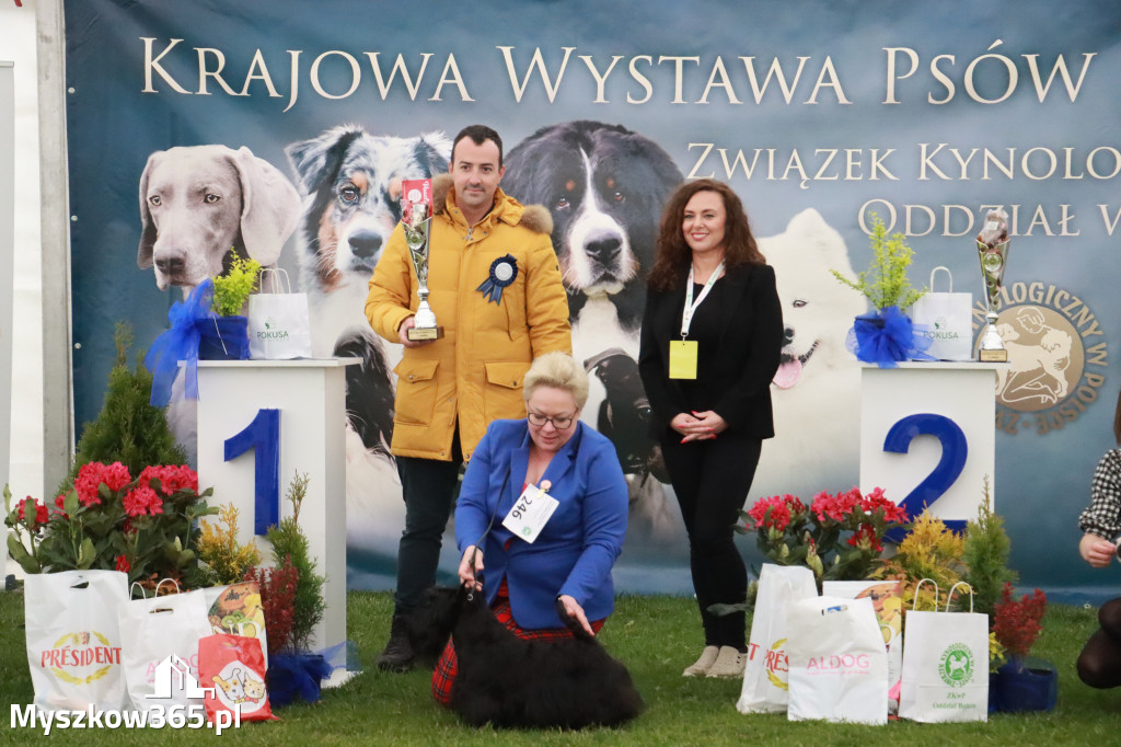 Fotorelacja II: Wystawa Psów Rasowych 2025 – Gniazdów Gmina Koziegłowy