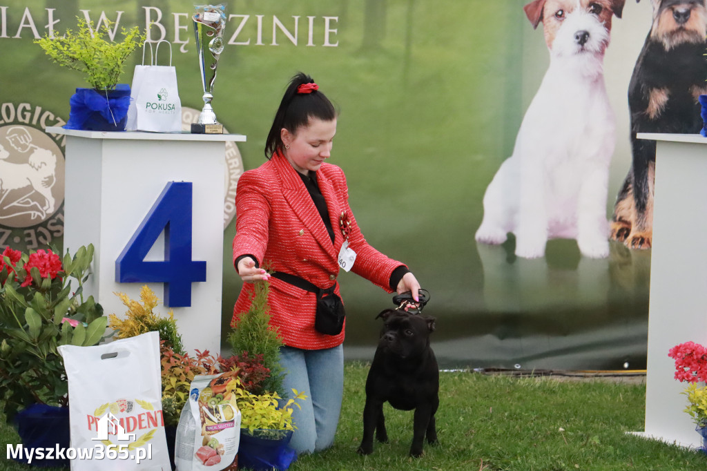 Fotorelacja II: Wystawa Psów Rasowych 2025 – Gniazdów Gmina Koziegłowy