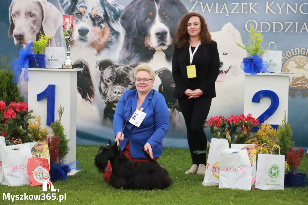 Fotorelacja II: Wystawa Psów Rasowych 2025 – Gniazdów Gmina Koziegłowy