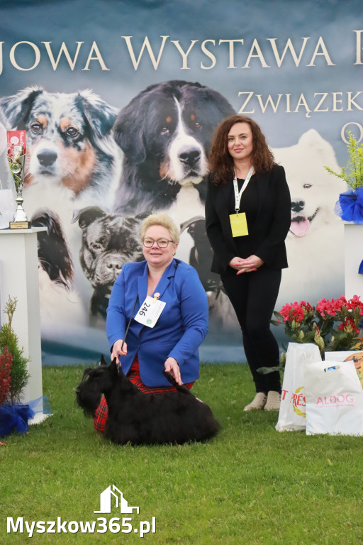 Fotorelacja II: Wystawa Psów Rasowych 2025 – Gniazdów Gmina Koziegłowy