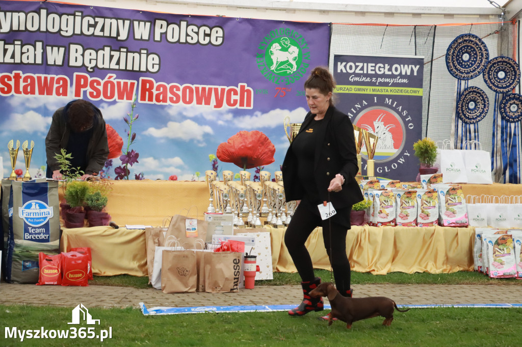 Fotorelacja II: Wystawa Psów Rasowych 2025 – Gniazdów Gmina Koziegłowy
