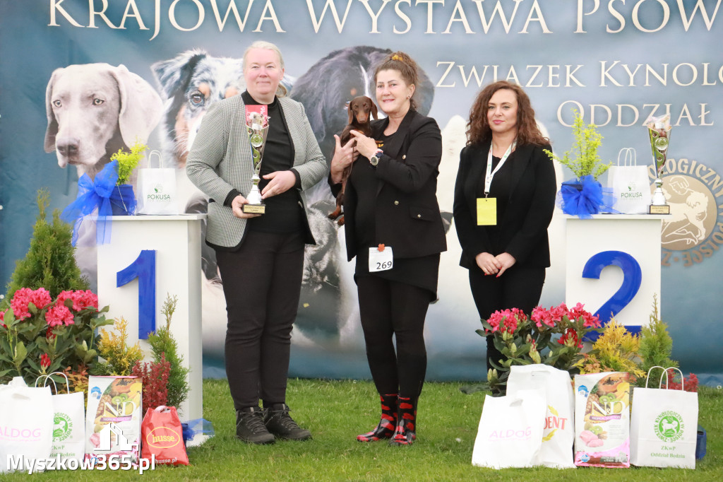 Fotorelacja II: Wystawa Psów Rasowych 2025 – Gniazdów Gmina Koziegłowy