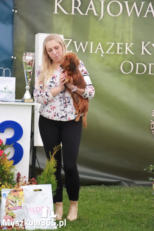 Fotorelacja II: Wystawa Psów Rasowych 2025 – Gniazdów Gmina Koziegłowy
