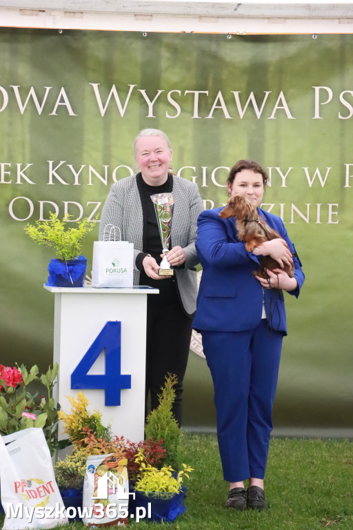 Fotorelacja II: Wystawa Psów Rasowych 2025 – Gniazdów Gmina Koziegłowy