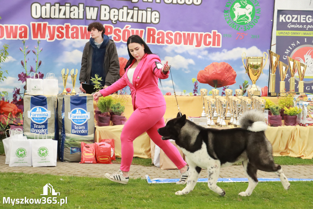 Fotorelacja II: Wystawa Psów Rasowych 2025 – Gniazdów Gmina Koziegłowy