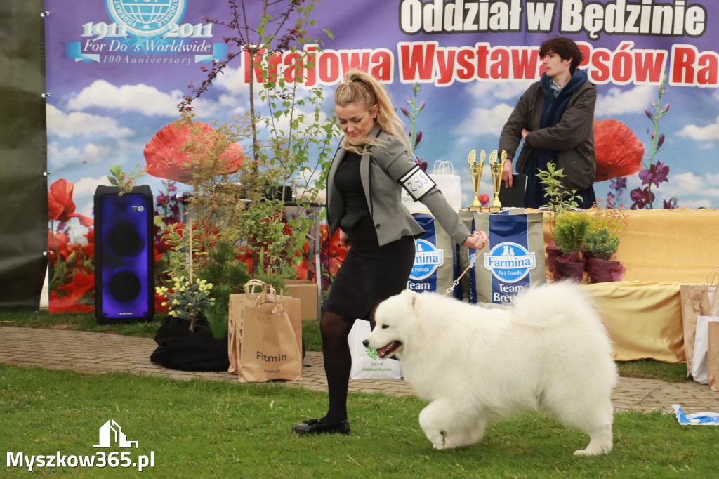 Fotorelacja II: Wystawa Psów Rasowych 2025 – Gniazdów Gmina Koziegłowy