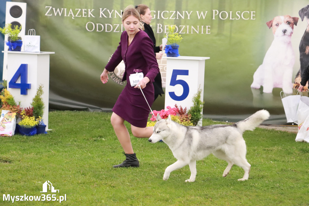 Fotorelacja II: Wystawa Psów Rasowych 2025 – Gniazdów Gmina Koziegłowy