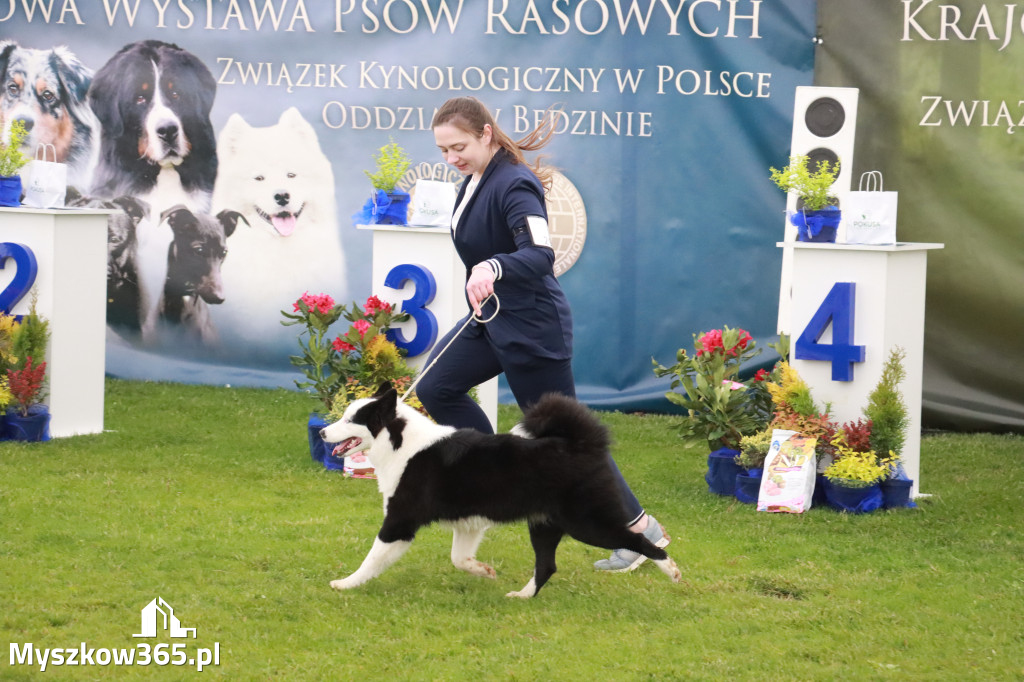 Fotorelacja II: Wystawa Psów Rasowych 2025 – Gniazdów Gmina Koziegłowy